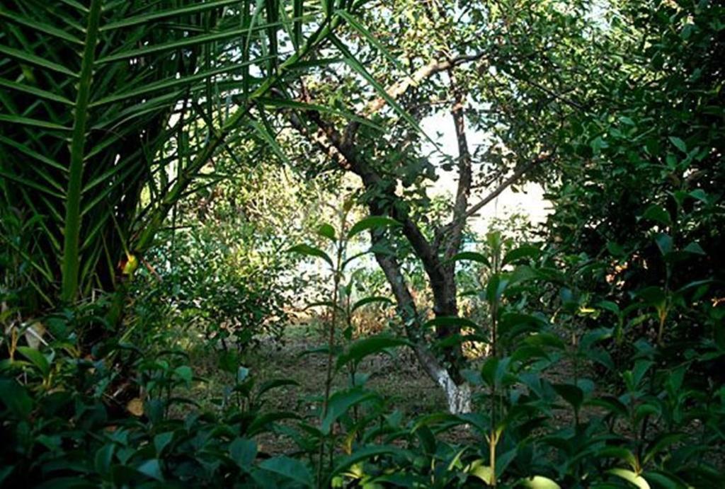 Agali Beach Pansion Marmaron  Exterior photo